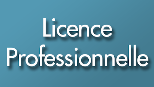 Licence Professionnelle