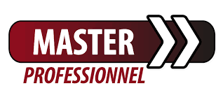 Master Professionnel